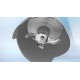 Пасатор Bosch MSM4W410